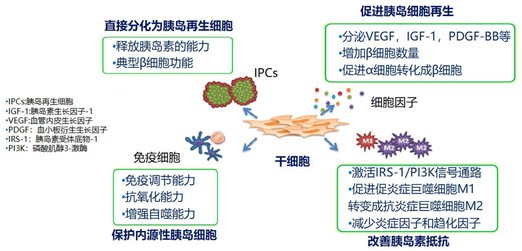 GLP-1 uses GLP-1 uses