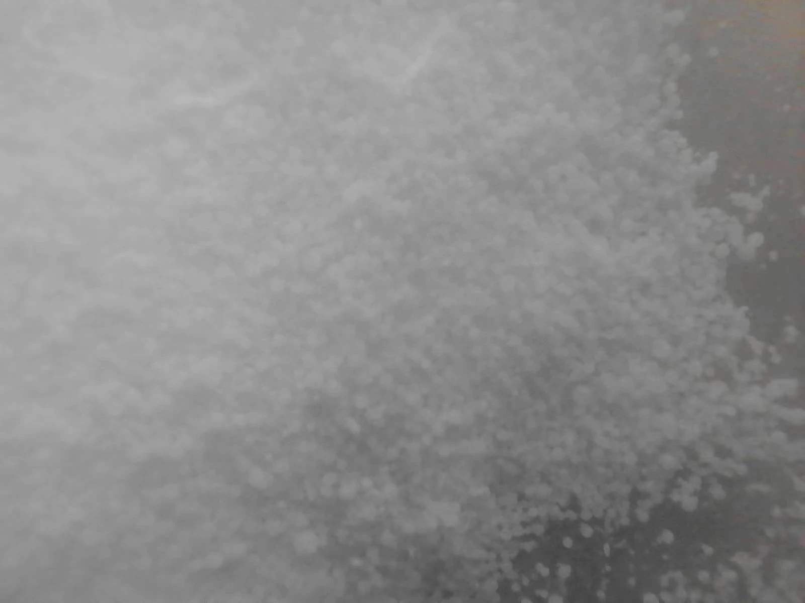 Pontocaine | Shaanxi BLOOM Tech Co., Ltd Pontocaine | Shaanxi BLOOM Tech Co., Ltd