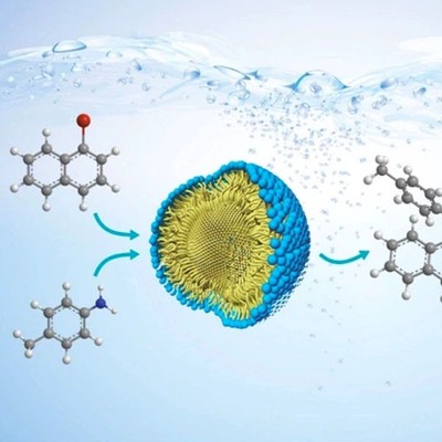 N-Acetyl-L-Cysteine Powder use | Shaanxi BLOOM Tech Co., Ltd N-Acetyl-L-Cysteine Powder use | Shaanxi BLOOM Tech Co., Ltd