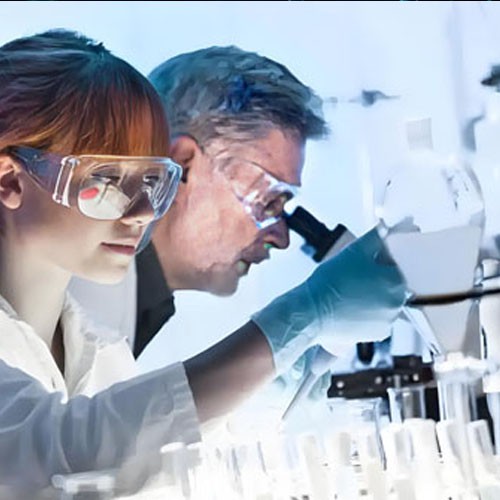 N-Acetyl-L-Cysteine Powder use | Shaanxi BLOOM Tech Co., Ltd N-Acetyl-L-Cysteine Powder use | Shaanxi BLOOM Tech Co., Ltd