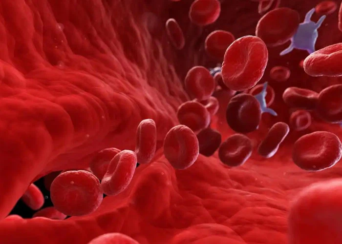 SLU-PP-332 Price | Shaanxi BLOOM Tech Co., Ltd SLU-PP-332 Price | Shaanxi BLOOM Tech Co., Ltd