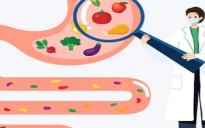 SLU-PP-332 For sale | Shaanxi BLOOM Tech Co., Ltd SLU-PP-332 For sale | Shaanxi BLOOM Tech Co., Ltd