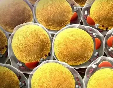 Bioglutide NA-931 For sale | Shaanxi BLOOM Tech Co., Ltd Bioglutide NA-931 For sale | Shaanxi BLOOM Tech Co., Ltd